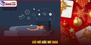 Giải mã giấc mơ S666